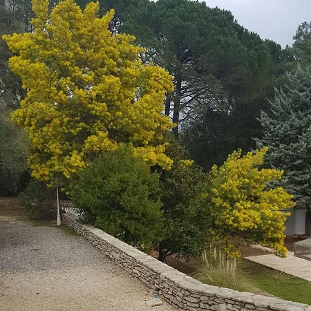Le Mimosa Des Cévennes Hébergement de vacances *
