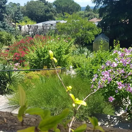 Le Mimosa Des Cévennes *