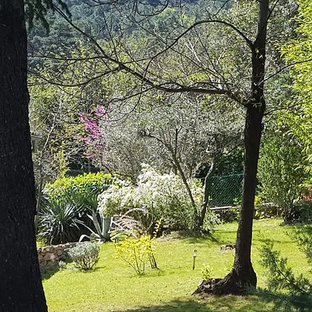 Le Mimosa Des Cevennes Дом отдыха *